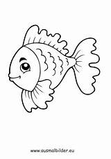 Fisch Schuppen Ausmalbilder Fische Ausmalbild Tiere sketch template