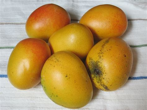 cut  mango