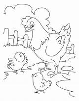 Coloring Chicken Pages Cute Farm sketch template