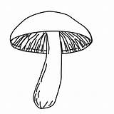 Fungi Pilze Fensterbilder Pilz Ausdrucken Malvorlagen Schablone Pflanzen Jump sketch template