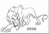 Pages Coloring Lions Detroit Pride Lion Colouring Getcolorings King Getdrawings Disney sketch template