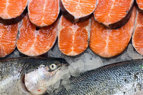 jenis ikan salmon  indonesia  berkualitas tinggi kingkong blog