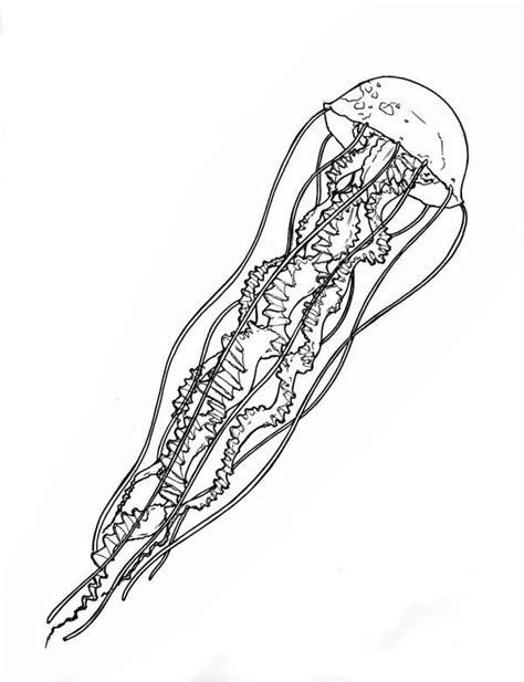 jellyfish tattoo tentacle jellyfish