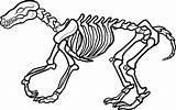 Skeleton Dog Clipart Cliparts Library Fossils sketch template