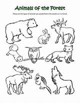 Preschool Taxonomy Getdrawings Thelearningpatio sketch template