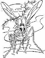 Coloring Mosquito Pages sketch template