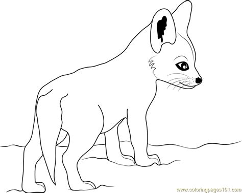 cute baby fox coloring page  fox coloring pages coloring home