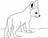 Fox Coloring Baby Pages Cute Foxes Drawing Printable Color Getcolorings Getdrawings Popular Library Clipart Colorings sketch template
