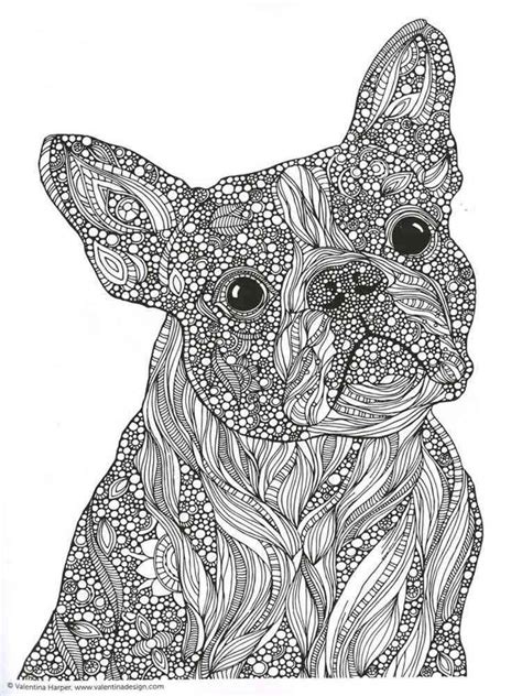 fresh cute coloring pages  adults animals