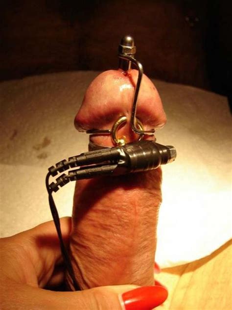 ant cock torture