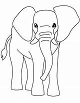 Elephant Coloring Pages Printable Kids Elephants Bestcoloringpagesforkids Animal Results Popular Jungle A4 sketch template