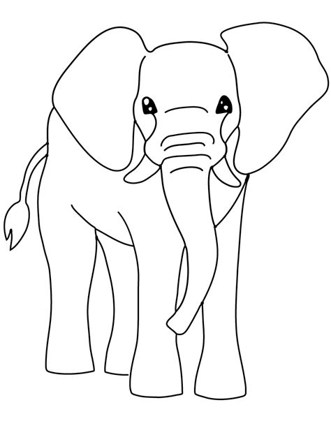 printable coloring page  elephant coloring home