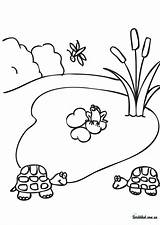 Pond Coloring Pages Lake Life Clipart Printable Cartoon Template Books Library Popular 1024px 59kb sketch template