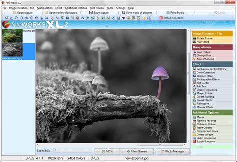 photo editor  windows   beginners  pro