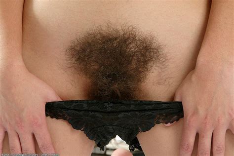 hairy pussy pictured 117950 only hairy women hairy pussy m