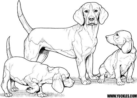 beagle coloring page  yuckles puppy coloring pages dog coloring