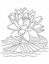 Lotus Flower Coloring Pages Reopen Bloom Color Sheets Printable Drawing Kidsplaycolor Colouring Lily Kids Colors Easy Flowers Getcolorings Getdrawings Visit sketch template