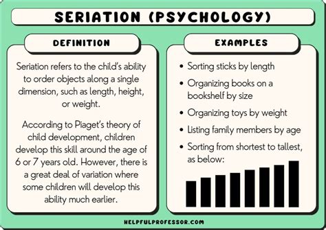 seriation psychology definition   examples