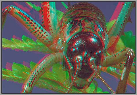 Weta Red Cyan Anaglyph 3d A Photo On Flickriver