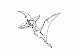 Coloring Dinosaurs Flying Pages sketch template