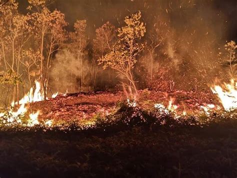 Fire Destroys 3 Hectares Of Forest Cover In Tagkawayan Quezon Gma