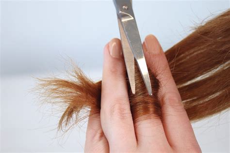 split ends ultimate guide   rid   hera hair beauty