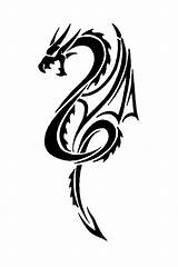 Dragon Tribal Tattoo Stencils Tattoos Fantasy Head Ebay Designs sketch template