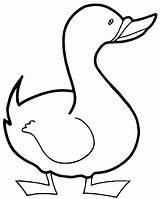 Canard 1484 Ducks Colorier Tecido Fraldas Canards sketch template