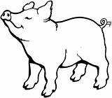 Pig Coloring Smell Something Nice Pages Outline Animal sketch template