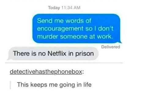 You Need These 14 Hilarious Netflix Memes In Your Life
