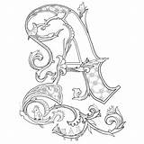 Illuminated Letters Letter Alphabet sketch template