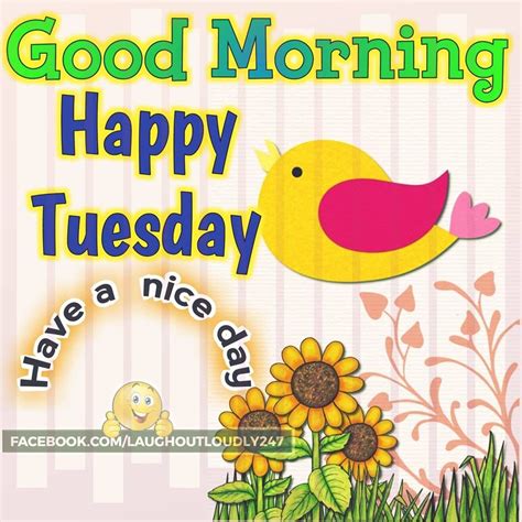 birdy good morning happy tuesday quote pictures   images