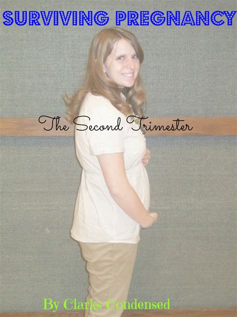 Surviving The Second Trimester Of Pregnancy Everything You Should Know