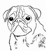 Pug Coloring Pages Puppy Printable Dog Pugs Drawing Print Face Baby Sad Cute Color Easy Kids Drawings Draw Template Clipart sketch template