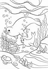 Seals Pup Verbnow sketch template