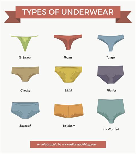 types  underwear infographic tailor  blog