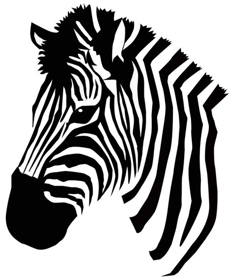 zebra pattern vector  clipart
