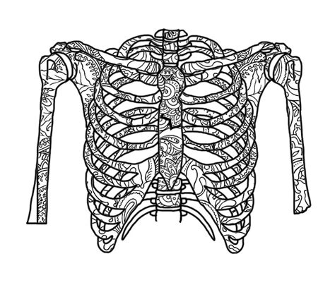 zentangle rib cage  coloring page etsy