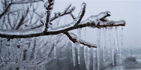 what causes freezing rain here s why it s so dangerous fox news
