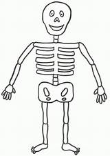 Skeleton Esqueleto Bones Humano Squelette Colorear Esqueletos Personajes Bestcoloringpagesforkids Importancia Clases Personnages Anatomy Azcoloring Freelargeimages sketch template