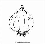 Onion Outline Vegetables Vegetable Drawing Garlic Easy Coloring Onions Fruit Kids Drawings Getdrawings Clip Pages Tattoo Deathly Applique Hallows Patterns sketch template