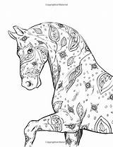 Coloring Horses Caballos Completed Cheval sketch template