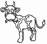 Vaca Mucca Colorare Dibuixos Vache Dibuix Acolore Figura Disegni Coloritou sketch template