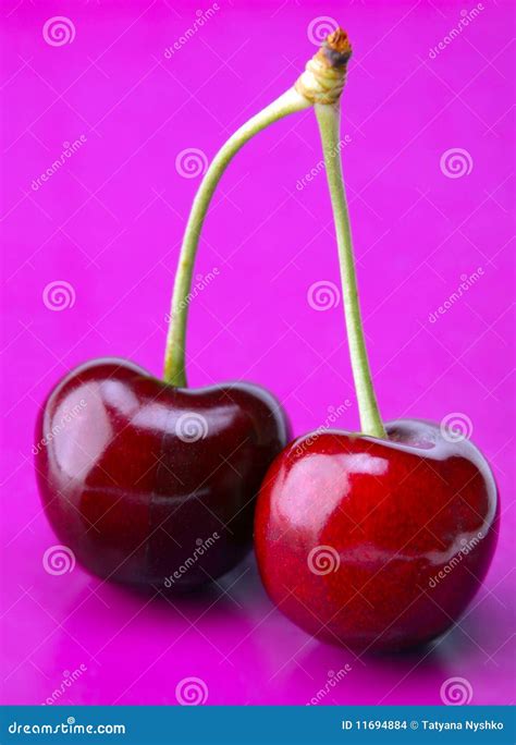 red cherry stock photo image  food purple fruit