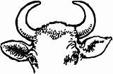 Horn Horns Peta Cows Usf Loud Tiff sketch template
