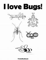 Coloring Pages Bug Spring Insect Bugs Jungle Sheets Science Kids sketch template