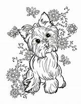 Yorkie Terrier Coloring Pages Dog Elsharouni Cindy Yorkshire Puppy Cute Print Adult Animal Printable Bulldog Painting Choose Sheets French Colouring sketch template