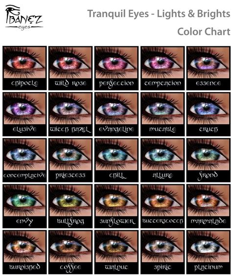human eye color chart eye color chart  lemontrash