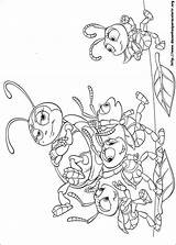 Bichos Colorear Inseto Insecto Bug Juntos Insekt Desenho Ants Bugs Momjunction sketch template