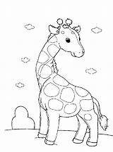 Coloring Pages Giraffe Kindergarten Collections sketch template